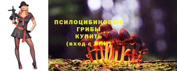 прущий лед Алексеевка