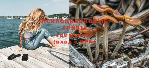 винт Алексин