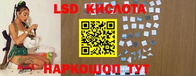 гидра Славгород