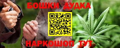 гидра Славгород
