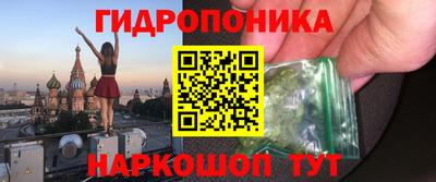 гидра Славгород