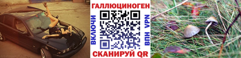 blacksprut онион  Ухта  Псилоцибиновые грибы Cubensis 