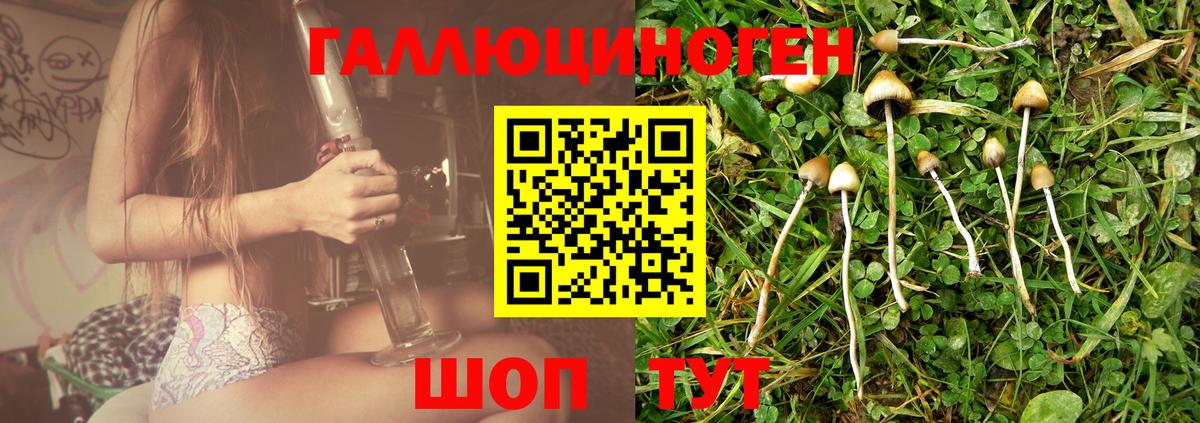 Ухта  Псилоцибиновые грибы Psilocybe  Вход с VPN 